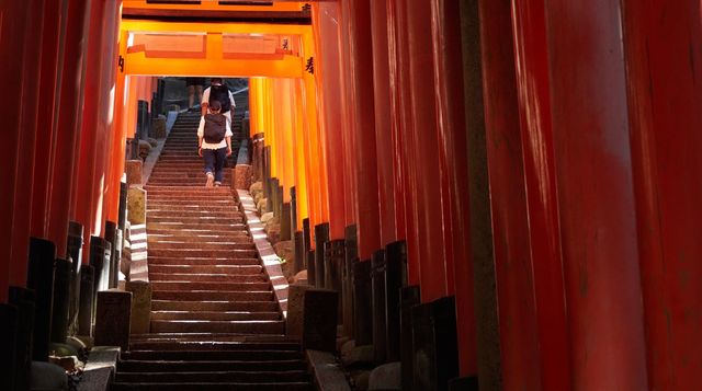 Torii gates at Fushimi Inari in Kyoto